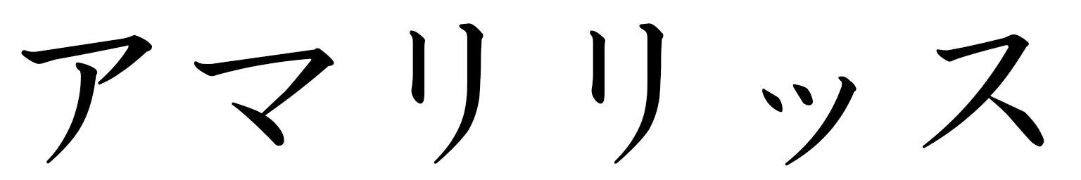 Amaryllis en japonais